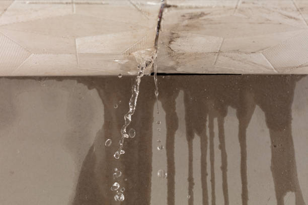 Professional Burst Pipe Cleanup technician working in Starr, SC